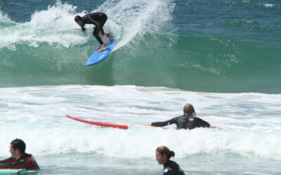 Foam board versus Hard board