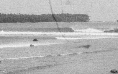 Genèse version surf