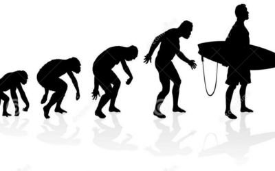 Homo sapiens en milieu océanique