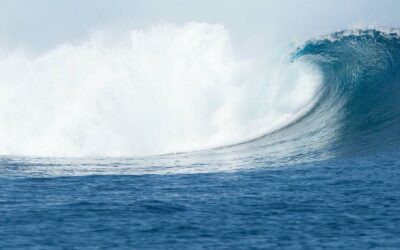 Jours Barbares, une vie de surf