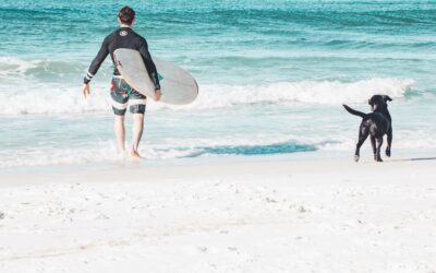 Pathologies du surf : le complexe du labrador