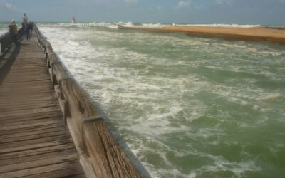 Xampi, glacier à Capbreton