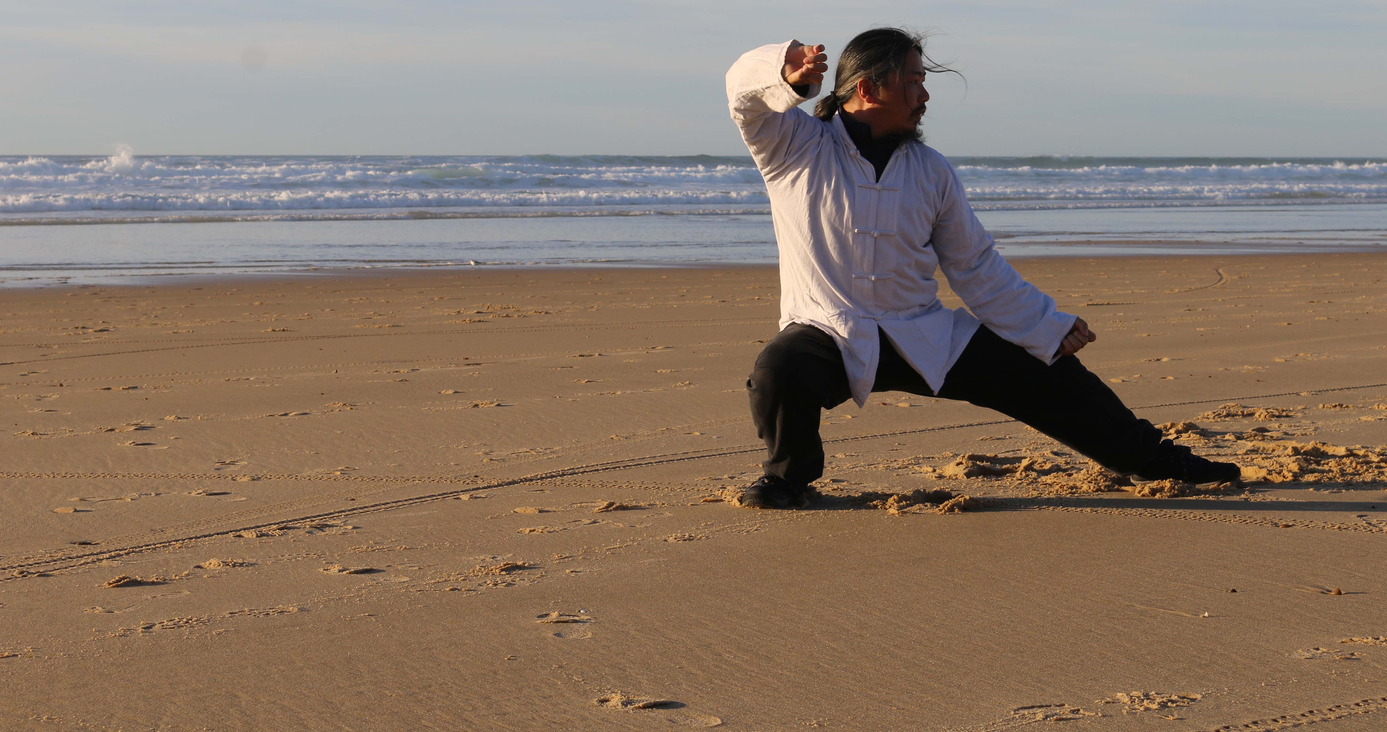 Stage taichi avec un maître chinois !