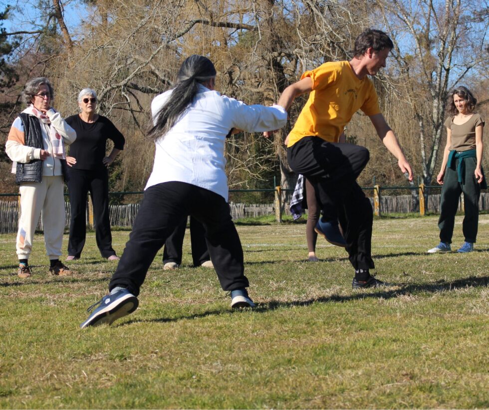Cours de Tai Chi Chuan en plein air ; instructeur et élèves pratiquant des formes.