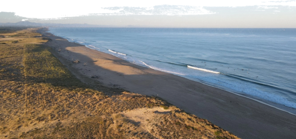Vue aérienne de surfeurs dans l'océan près d'une plage de sable et de dunes herbeuses.