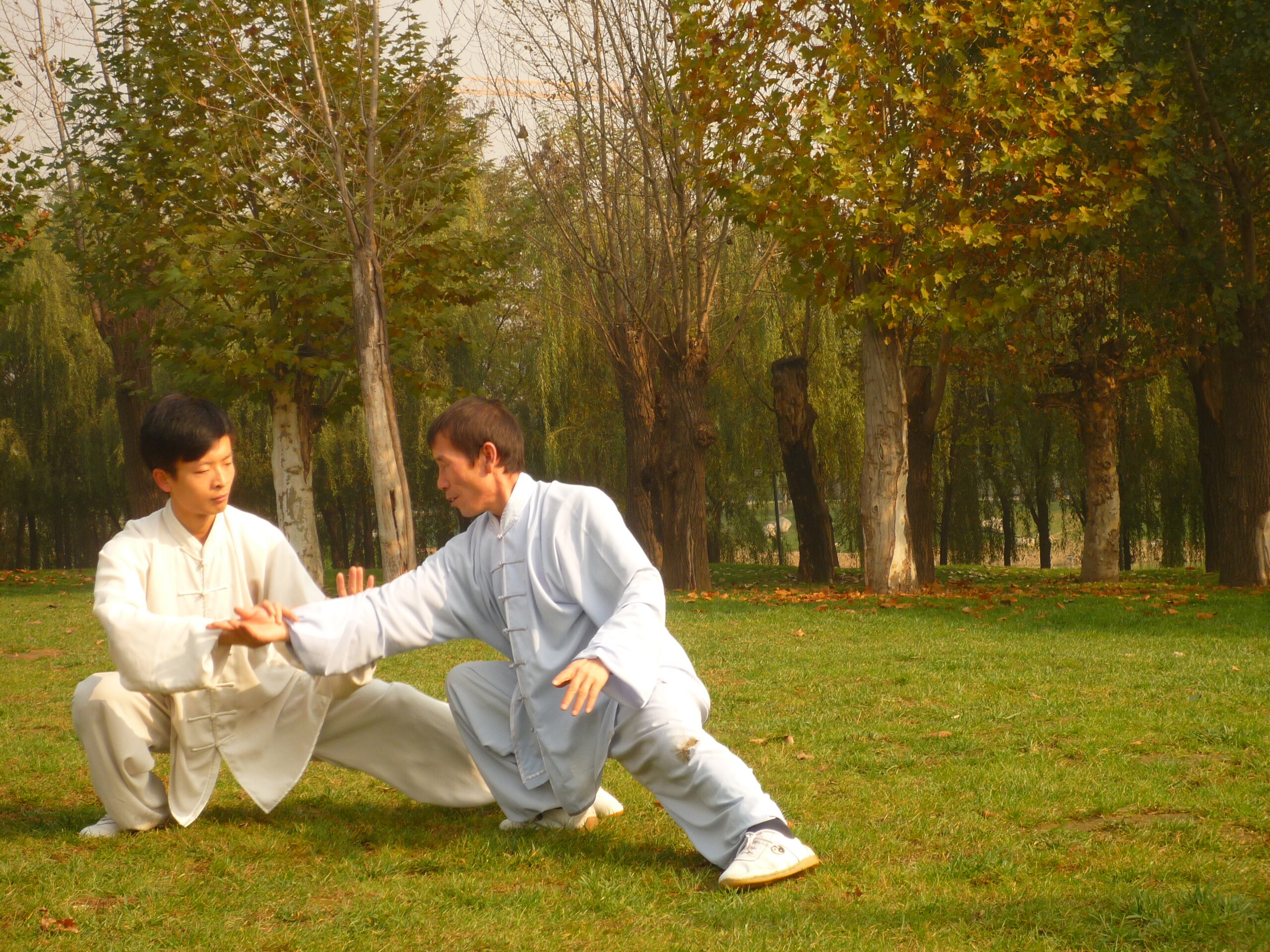 Deux hommes pratiquant le Tai Chi dans un parc en automne